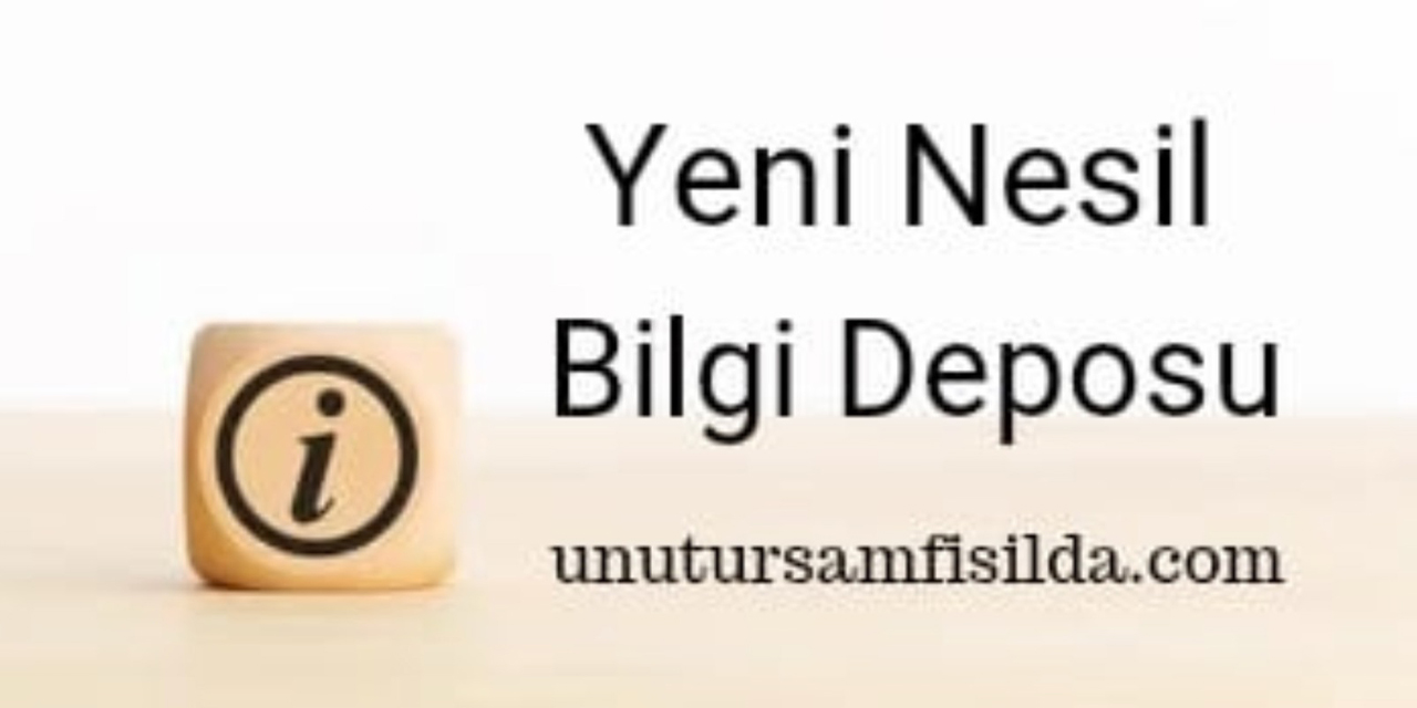 Unutursamfisilda.com: Bilgiyi eğlenceli hale getiren bir platform!