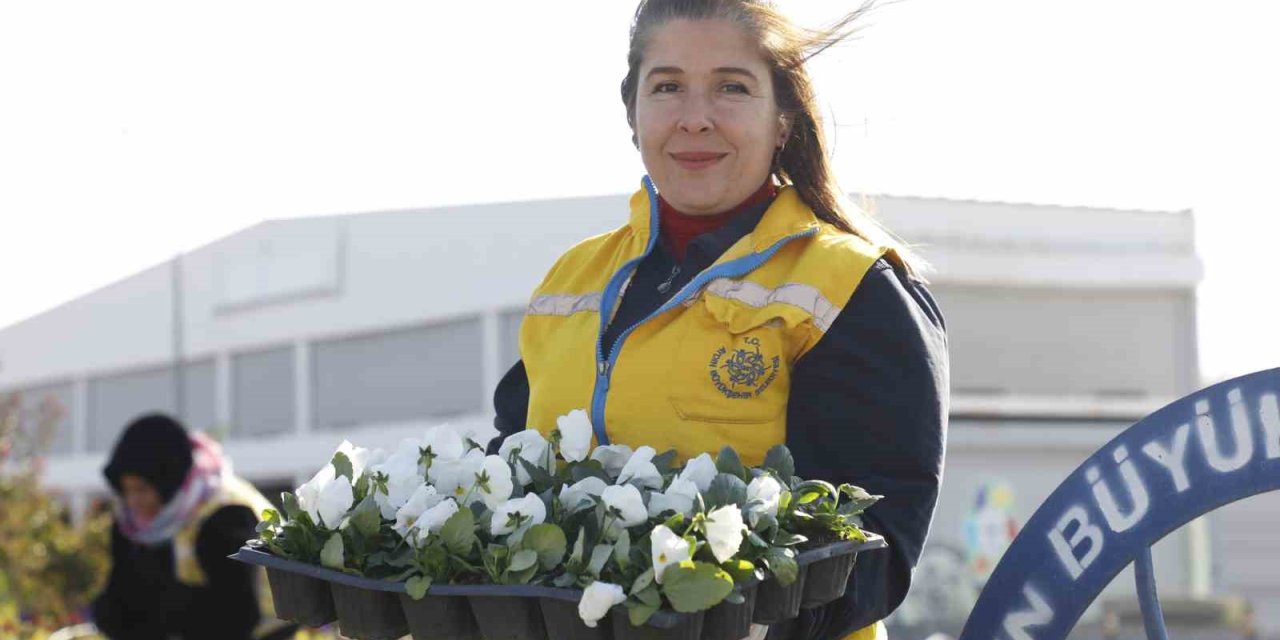 Didim rengarenk çiçeklerle süslendi