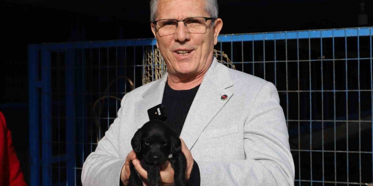 Nazilli Belediyesi’nden sokak hayvanları için sahiplendirme kampanyası