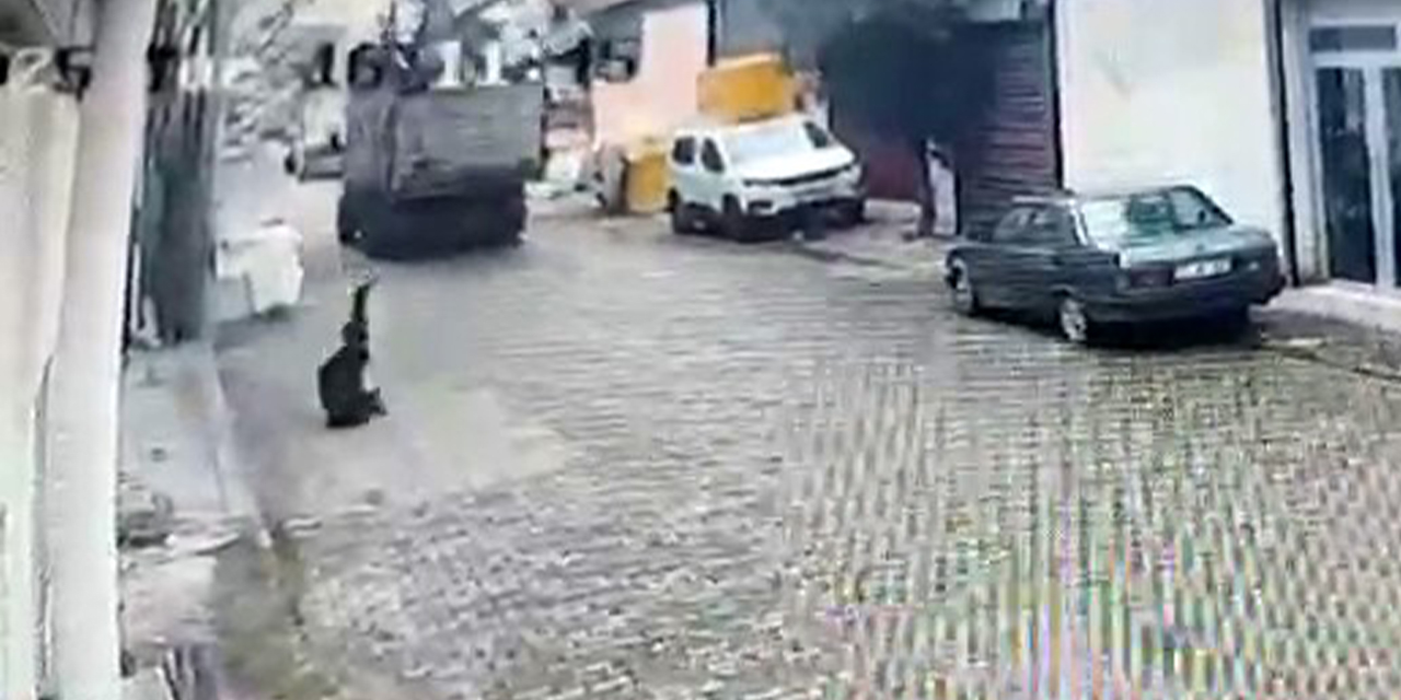 Kamyonetin kopardığı elektrik  teli vatandaşı hastanelik etti