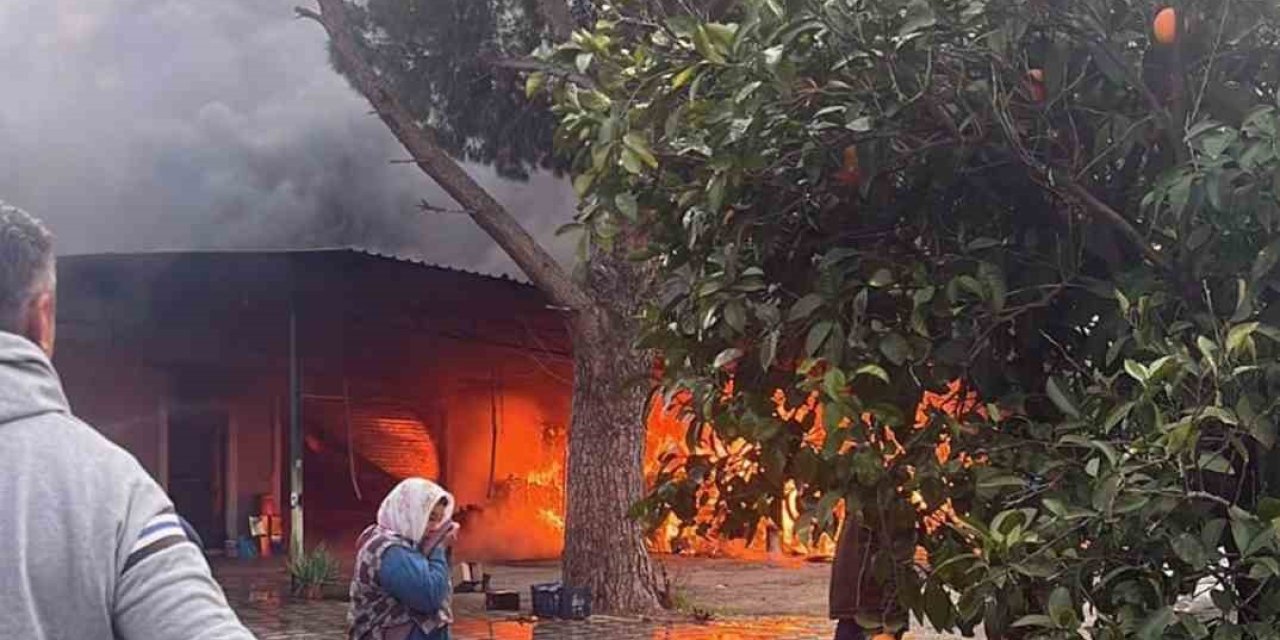 Arı ürünleri deposunda yangın