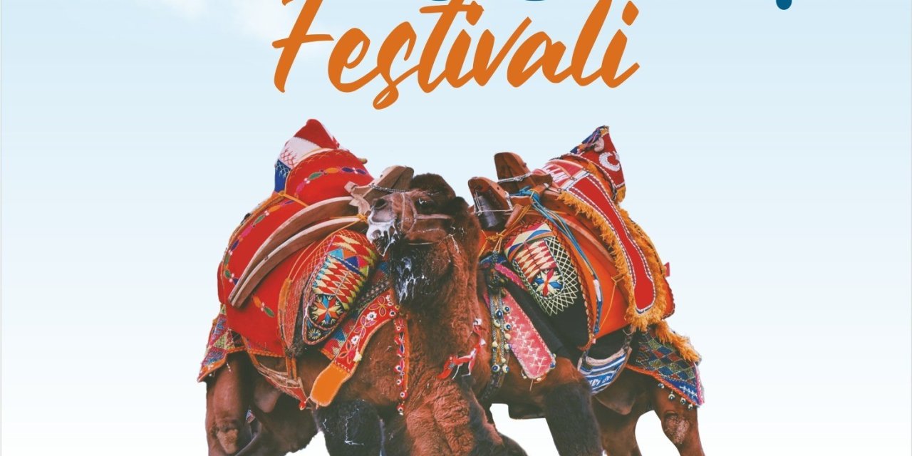 Kuyulu Deve Güreşleri 23 Şubat Pazar günü yapılacak