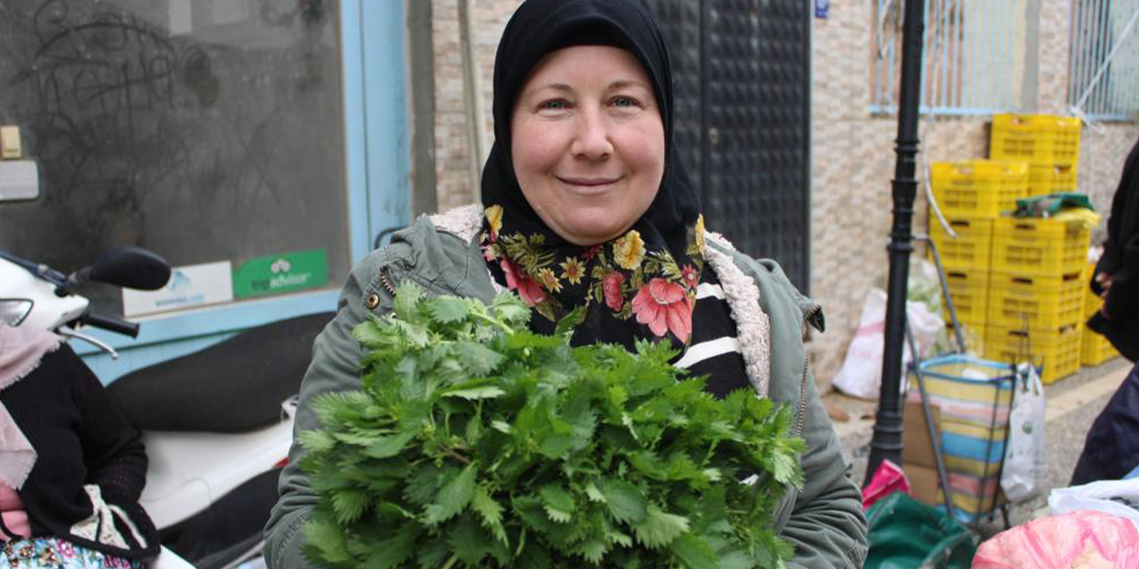 Ege'nin şifa kaynağı ısırgan otu yoğun ilgi görüyor