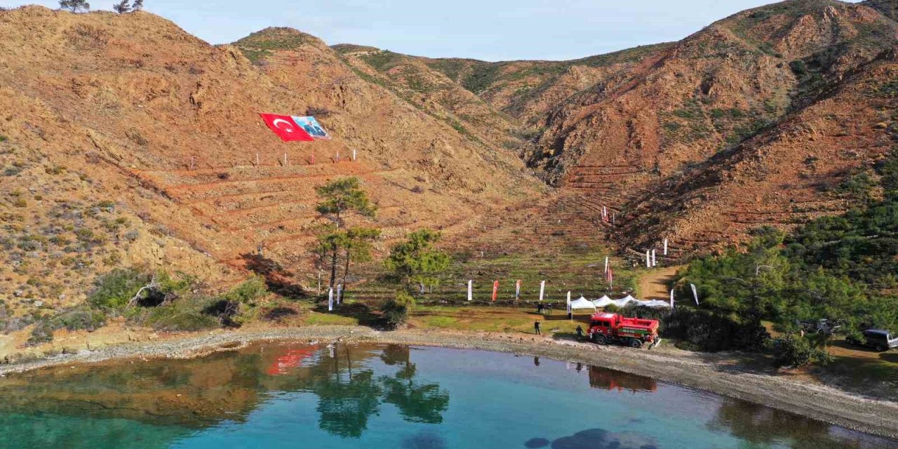 Marmaris Gölge Koyu’nda ağaçlandırma çalışması başladı