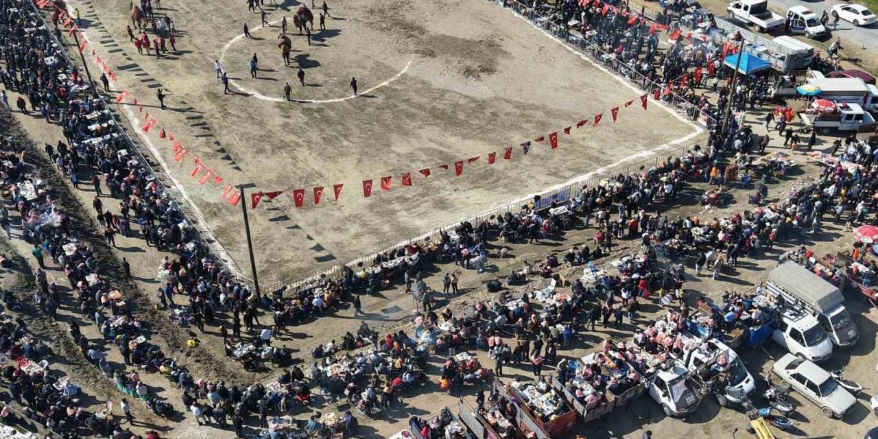 Çine’de deve güreşinin güvenliğini jandarma sağladı