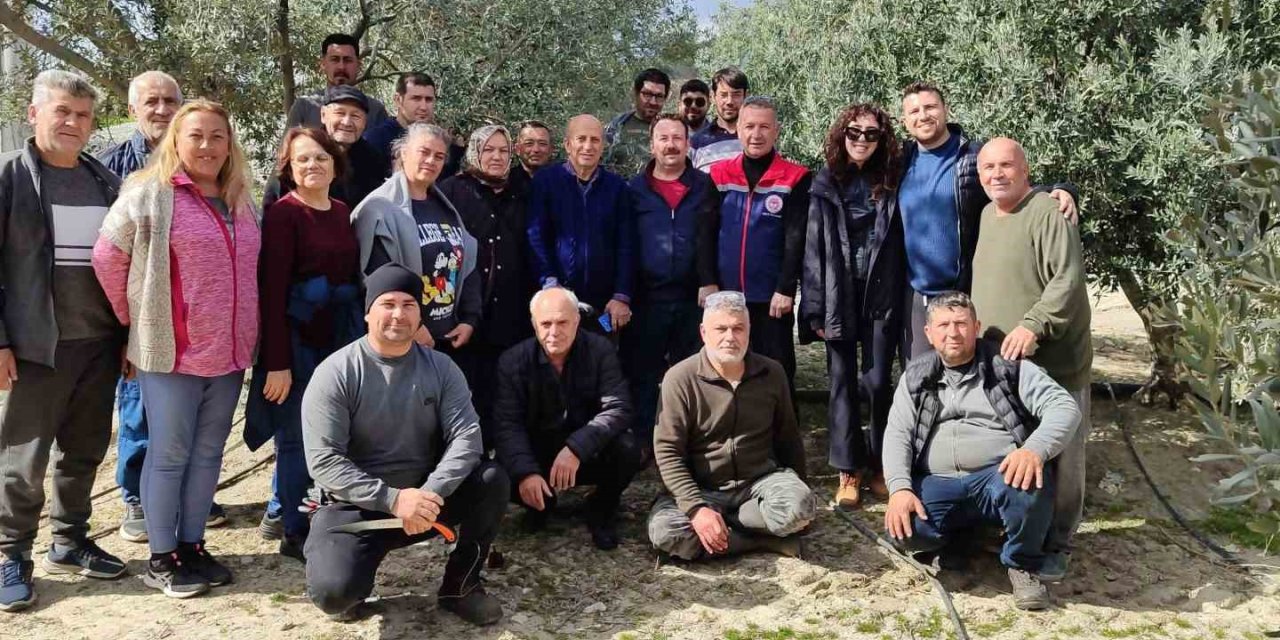 Didim’de zeytin budama kursu kursiyerlerine uygulamalı eğitim