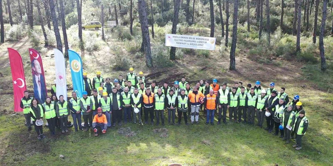 Köyceğiz Orman İşletme Müdürlüğü’nde üretim tatbikatı yapıldı