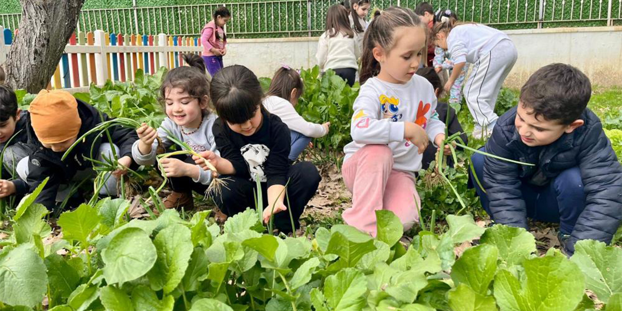 Efeler Belediyesi Gündüz Bakımevi öğrencileri hasat mutluluğu yaşadı