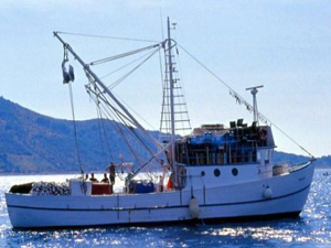 ‘Balıkçılıkta Kadın Eli’ Projesi İstihdam Sağlayacak