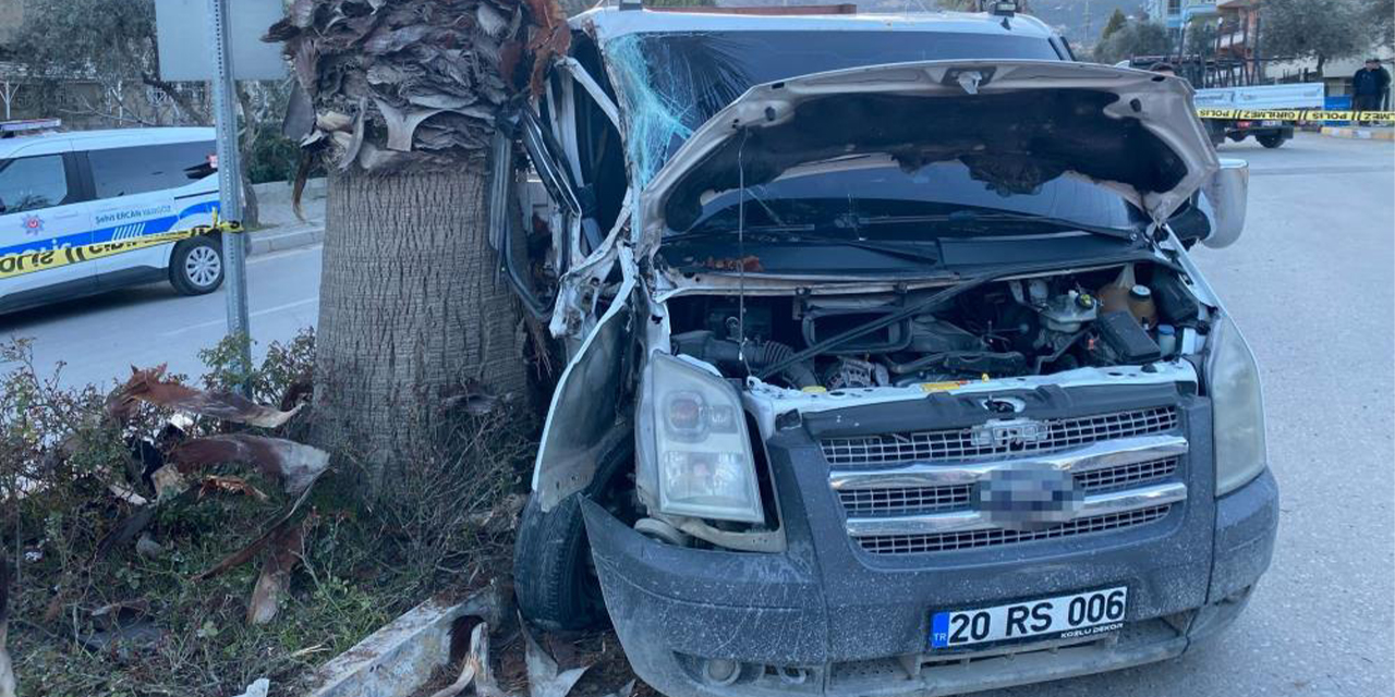 Kontrolden çıkan kamyonet orta refüjdeki ağaca çarparak durabildi