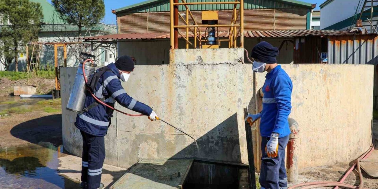 Efeler’de sineklerle mücadele 12 ay boyunca devam ediyor