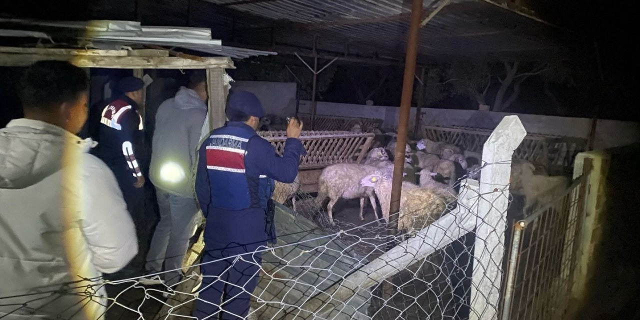 Jandarma ekipleri kayıp hayvanları bularak sahibine teslim etti