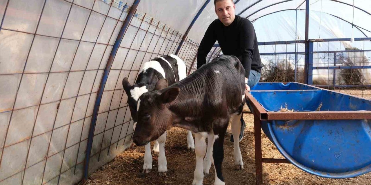 Arif Uyguner: "Üreticimizin emeğini korumak için geliyoruz"
