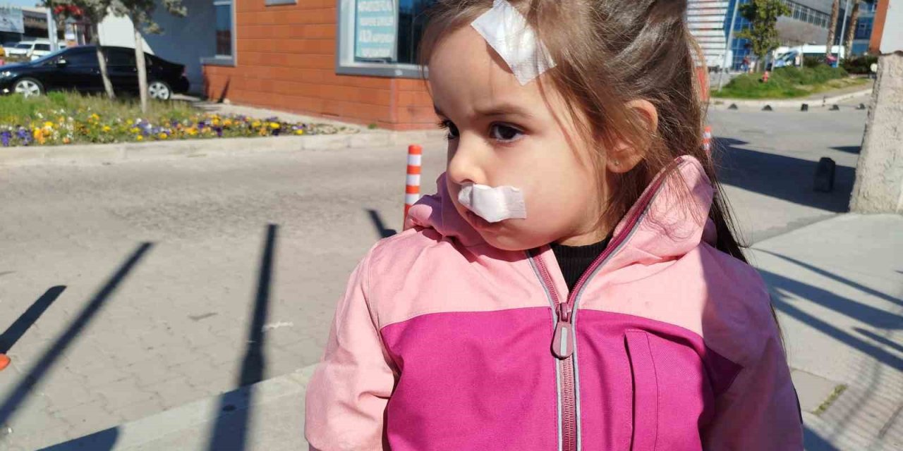 İzmir’de AVM’deki sahipsiz köpek 3 yaşındaki Elif’e saldırdı
