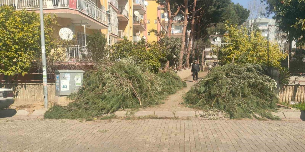 Efeler Belediyesi’nden budama atıkları uyarısı