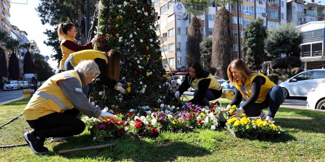 Aydın rengarenk çiçekler ile süsleniyor