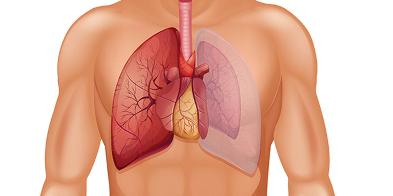 Pnömotoraks hakkında genel bilgi: