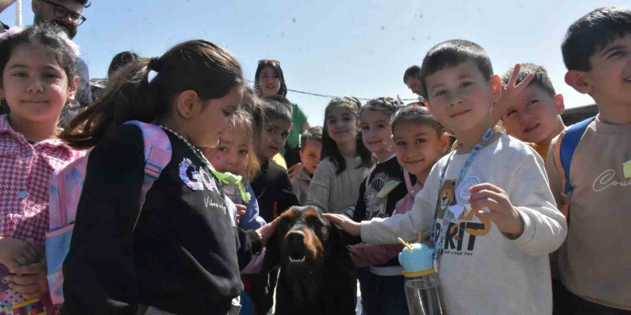 Didim’de minik öğrenciler patili dostlarla bir araya geldi