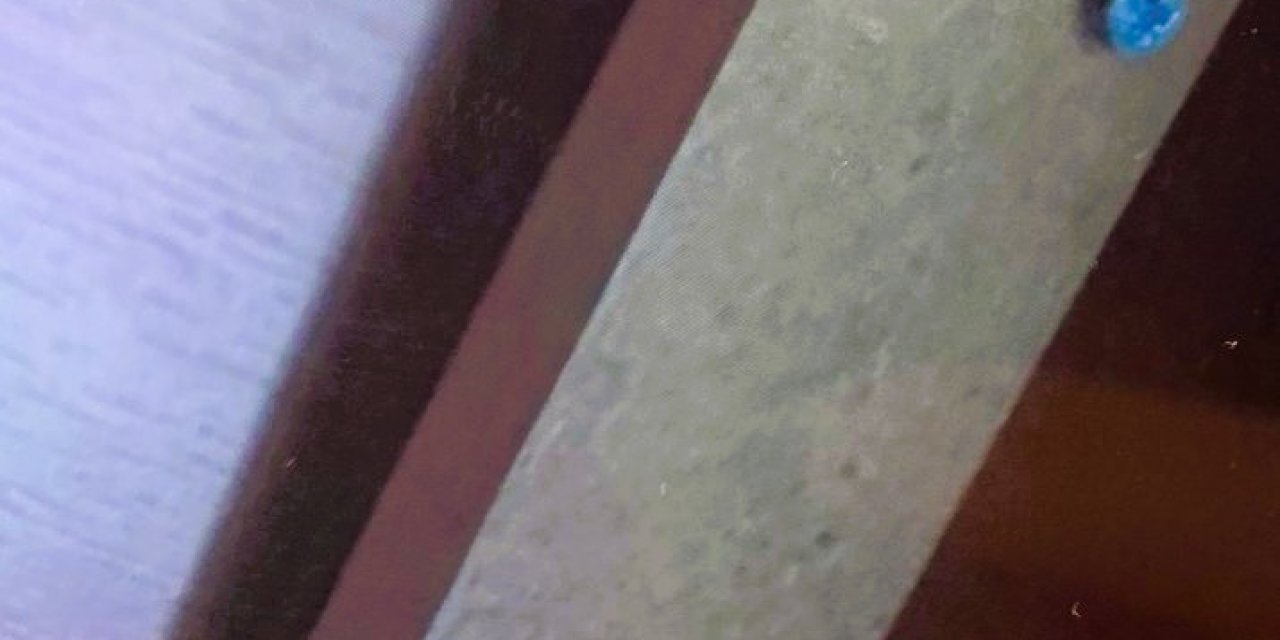 PAÜ Tıp Fakültesinde gizli kayıt iddiası