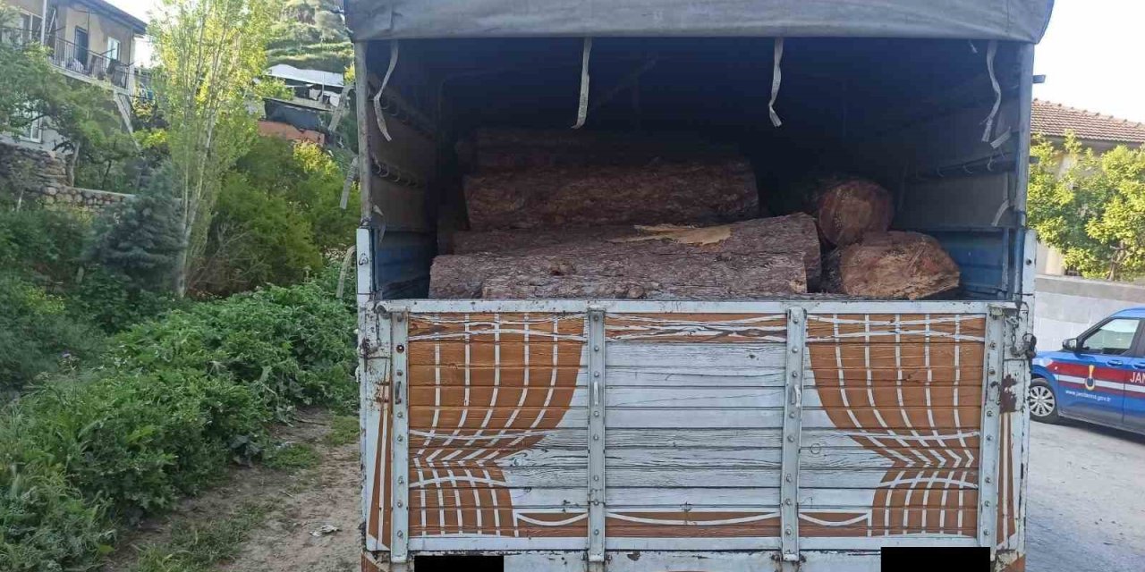Efeler’de kaçak orman ürünü ele geçirildi