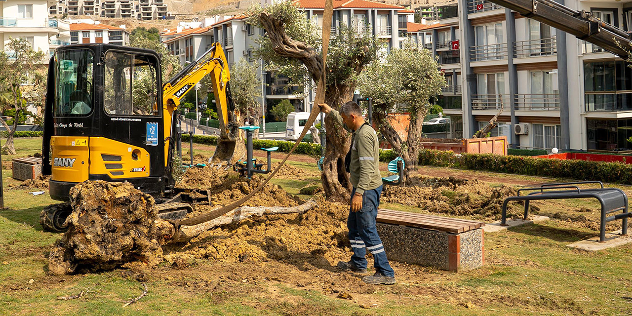 Başkan Günel’den Doğaya Vefa: 6 yılda 1137 ağaç kurtarıldı