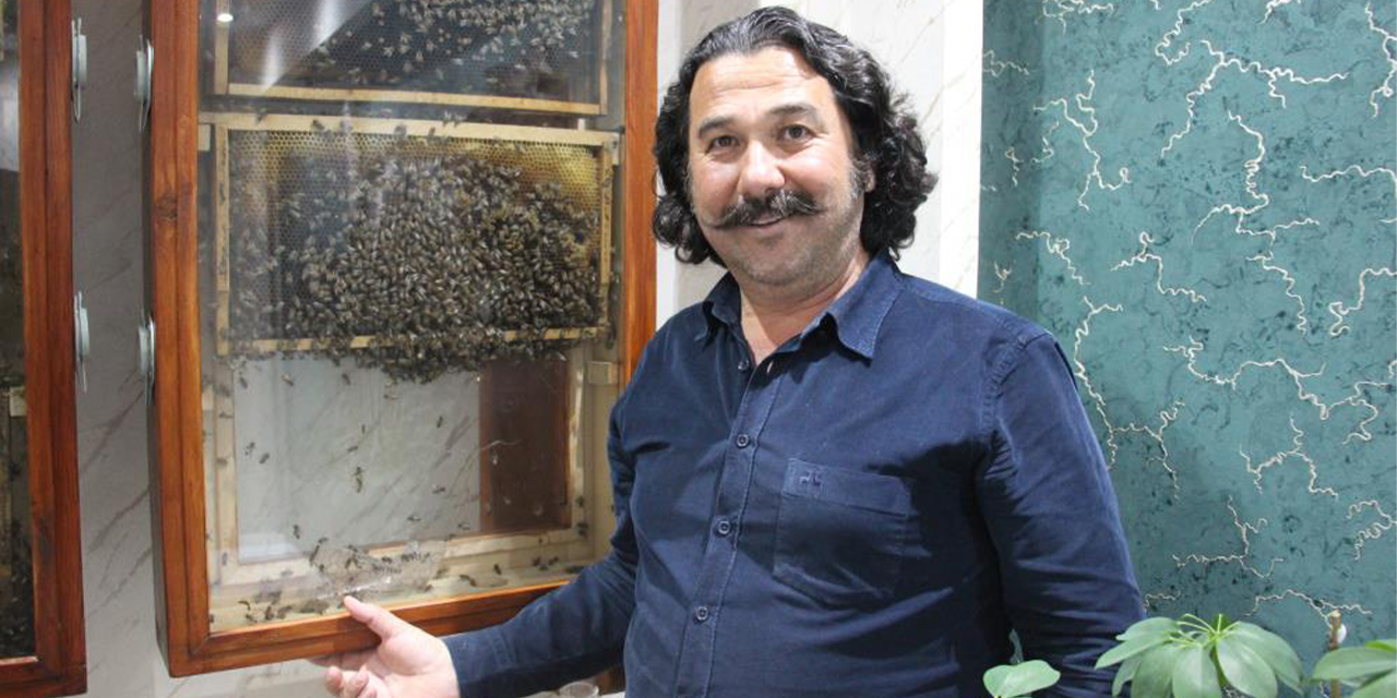 Aydınlı iş insanı ofisine cam arı kovanı kurdu