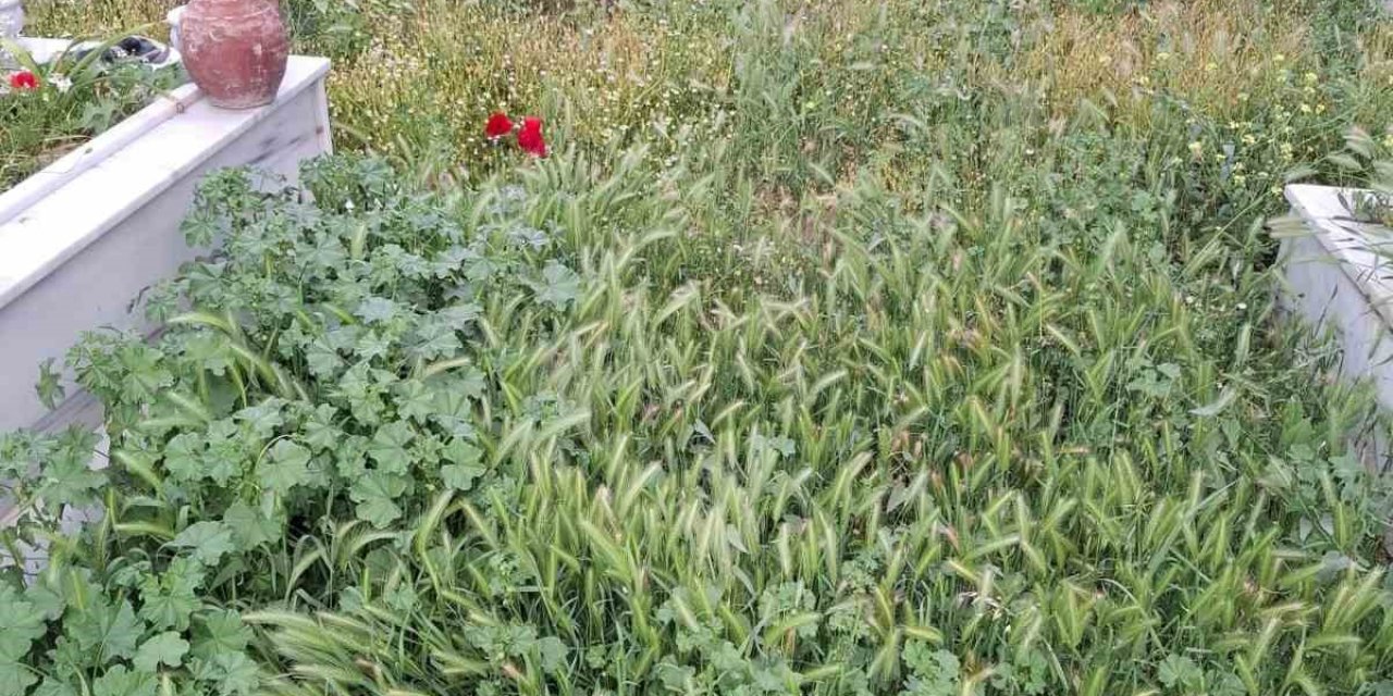 Mezarlıklar bayram öncesi sahipsiz kaldı
