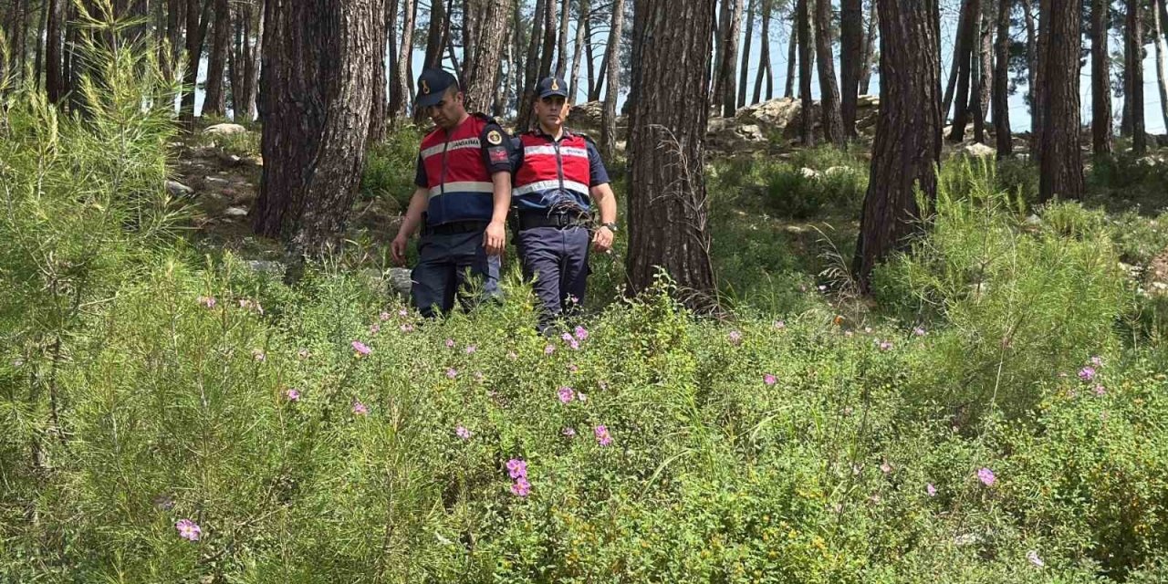 Bodrum’da ormanlara giriş yasaklandı, jandarma termal dronla kuş uçurtmuyor