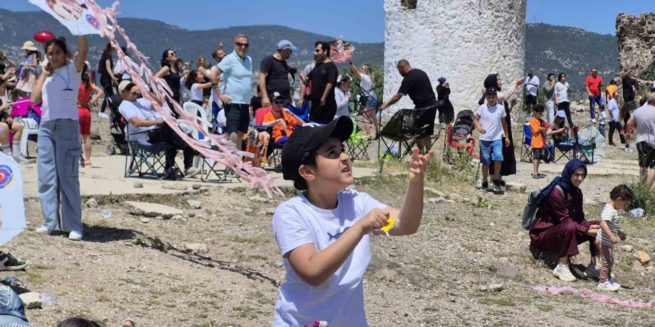 Bodrum Uçurtma Festivali yapıldı