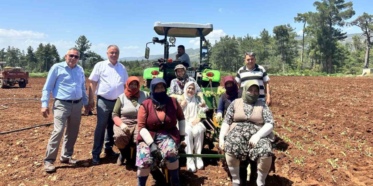 Emekçi kadınlar Anneler Gününü tütün tarlasında kutladı
