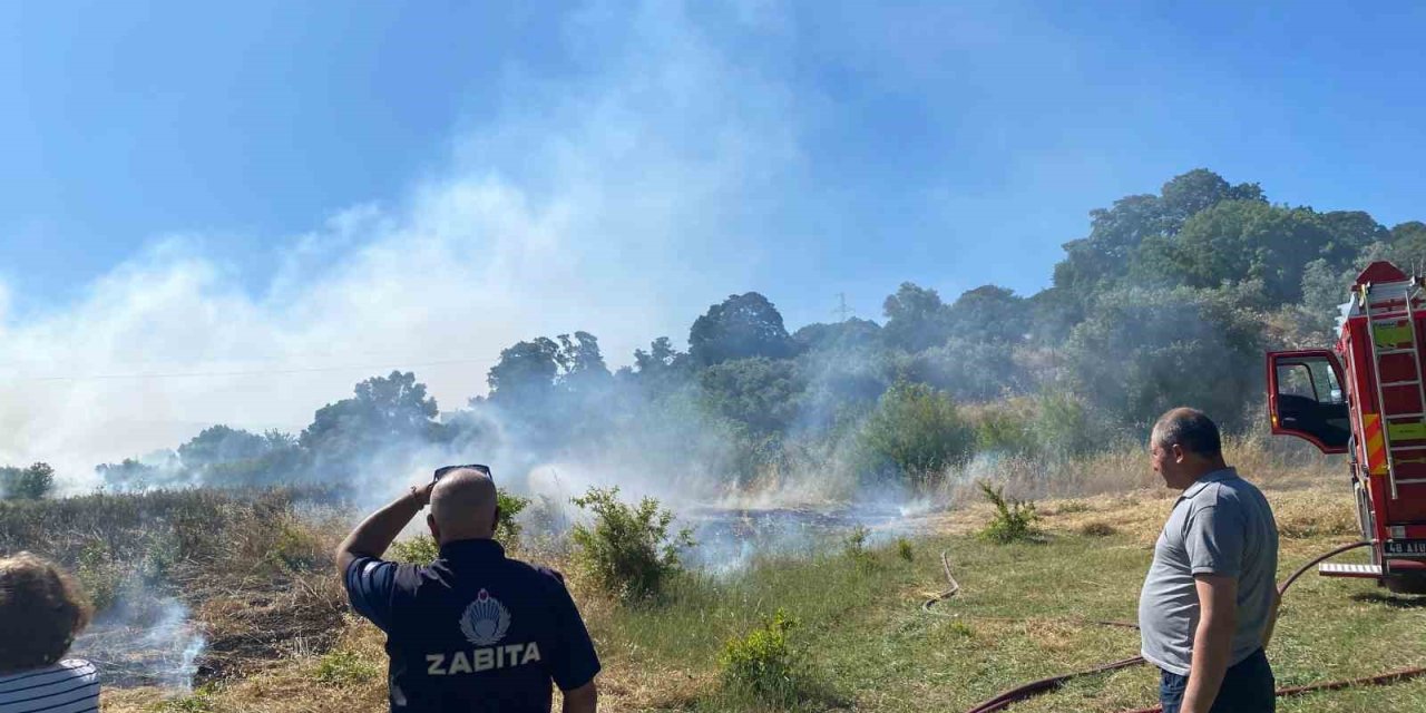 Bodrum’da zirai alan yangını