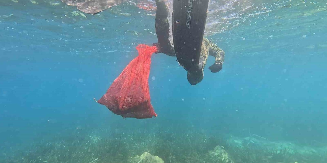 Bodrum’da deniz dibi temizliği başladı