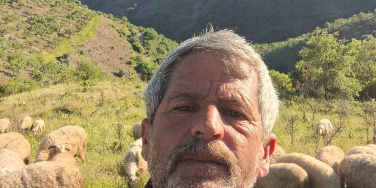 Aydın’da Yörüklerin yayla yolculuğu başladı