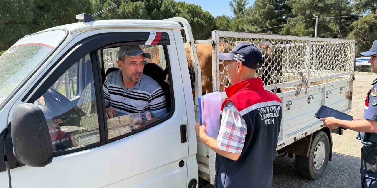 Koçarlı’da canlı hayvan nakil araçları denetlendi