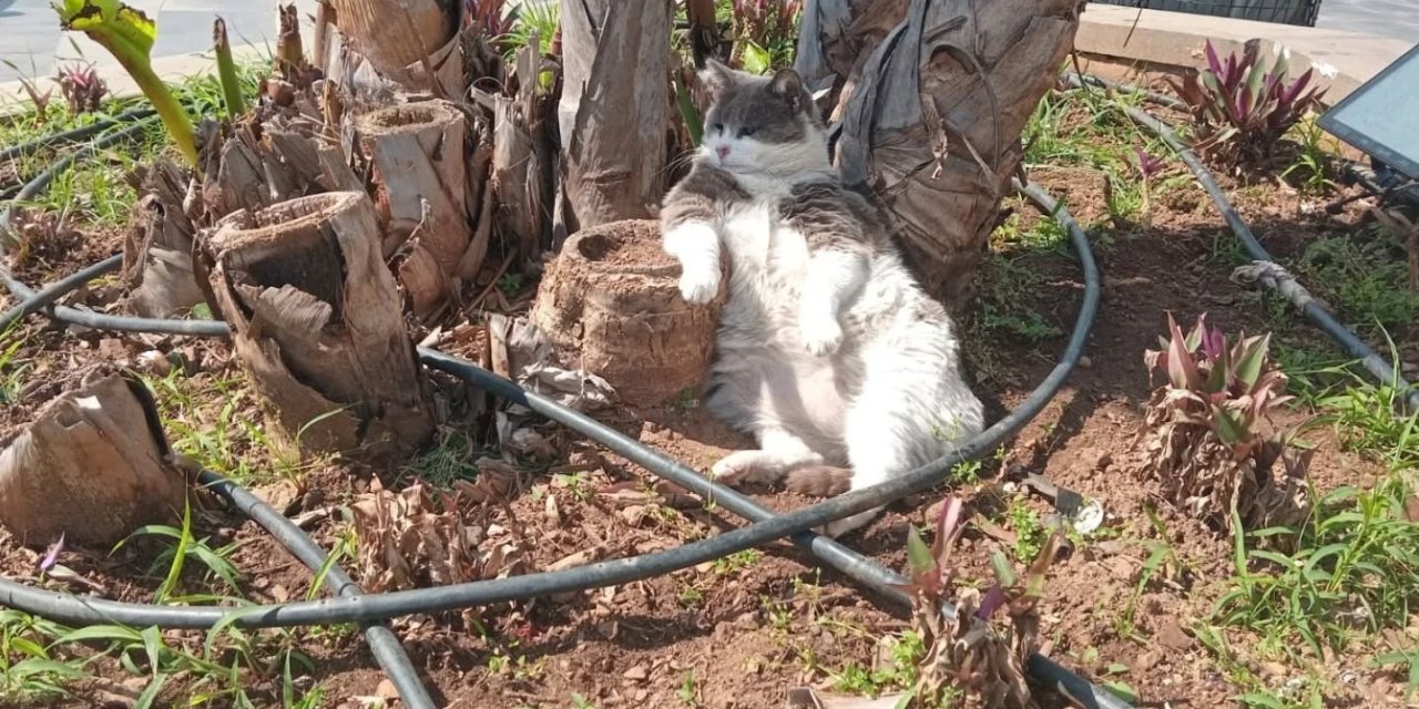 İşçiler çalıştı, o keyfini bozmadı