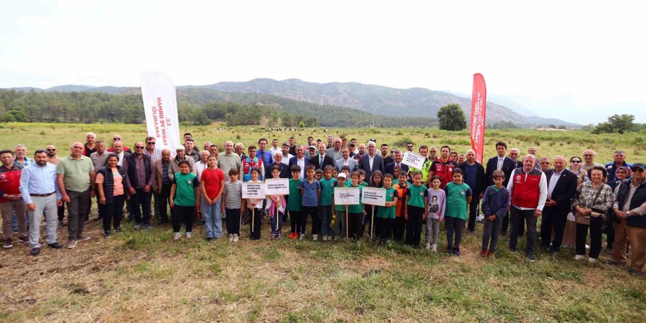 Köyceğiz Döğüşbelen’de 400 dekar meralık alan açıldı