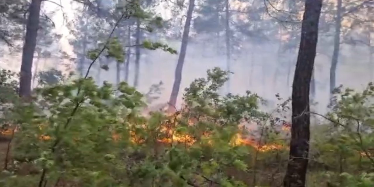 Kale’deki orman yangını rüzgarla birlikte ilerliyor