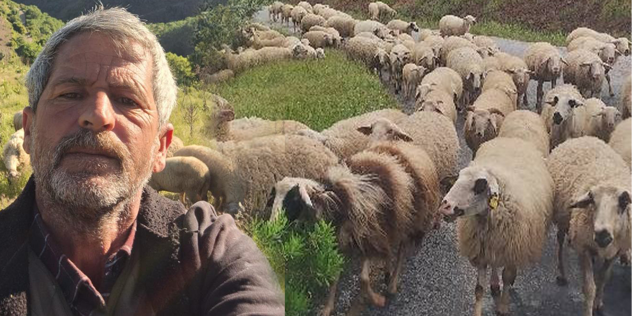 Aydın’da Yörüklerin  yayla yolculuğu başladı