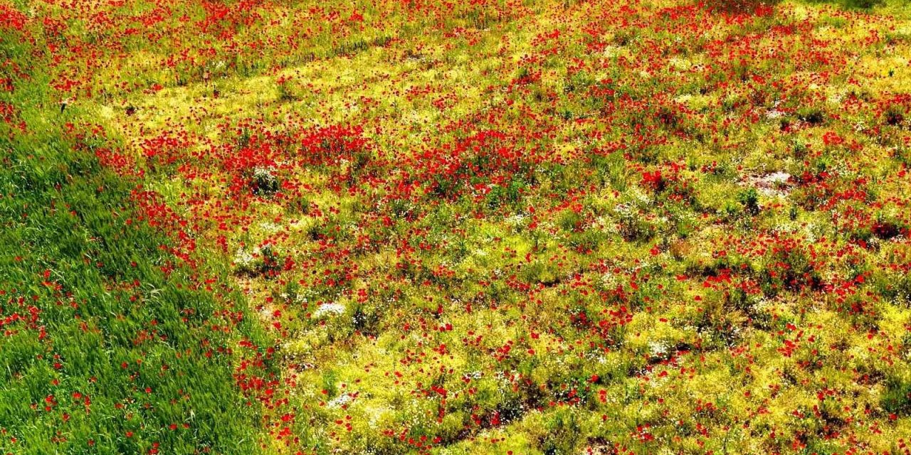 Muğla’nın sessiz güzelliği