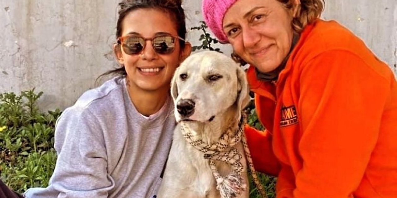 Depremde kurtarılan köpek, Datça’daki yeni hayatına devam ediyor