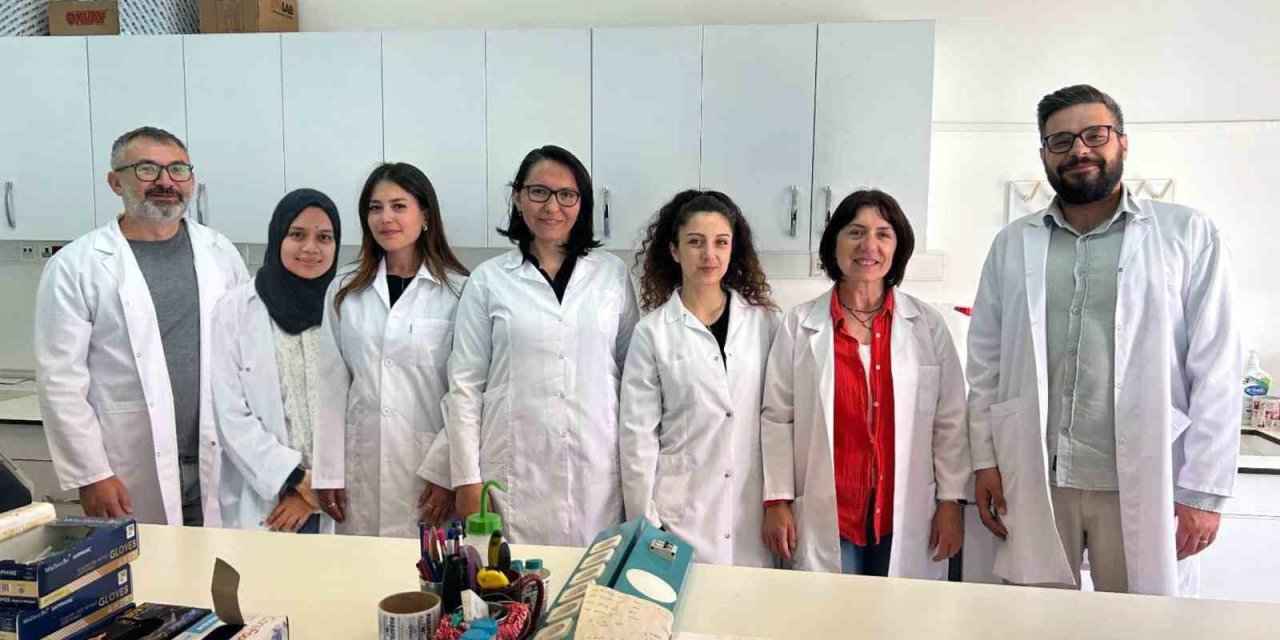 MSKÜ’den bilimsel başarı: ACS Omega kapağında yer aldı
