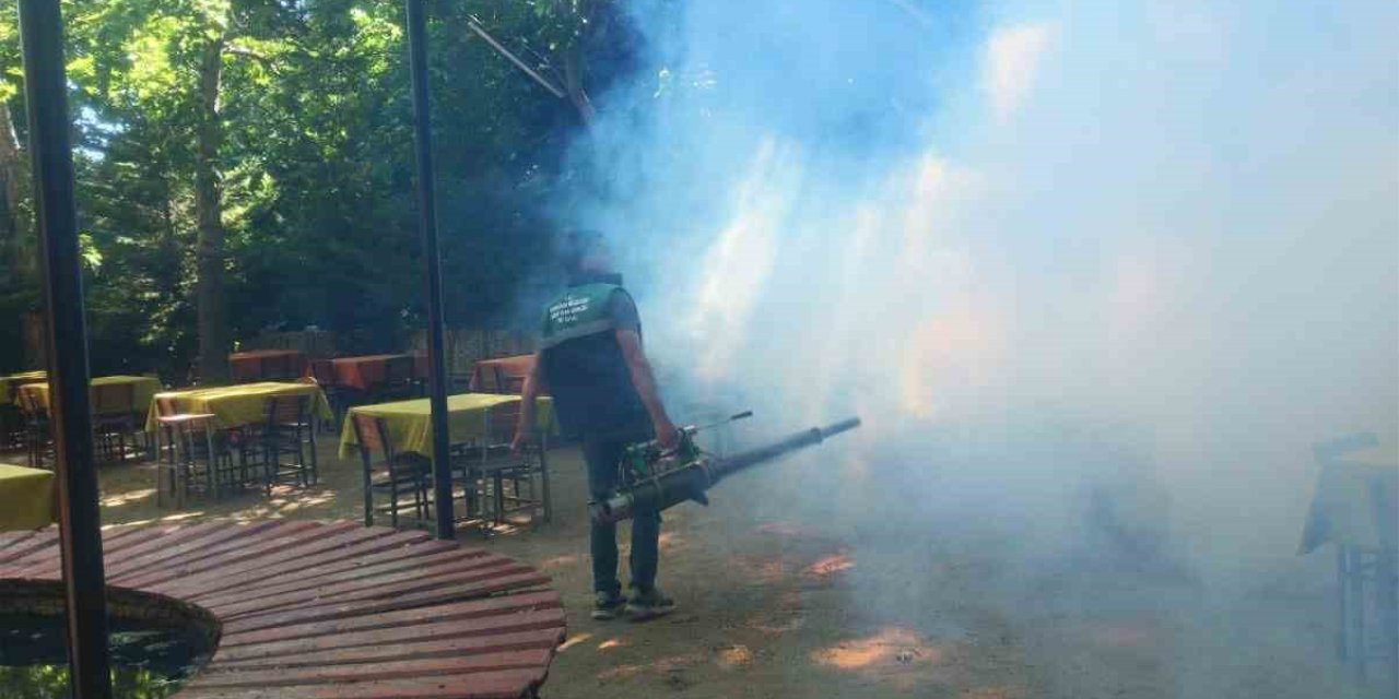 Karacasu’da sinek ve larva ilaçlaması yapıldı