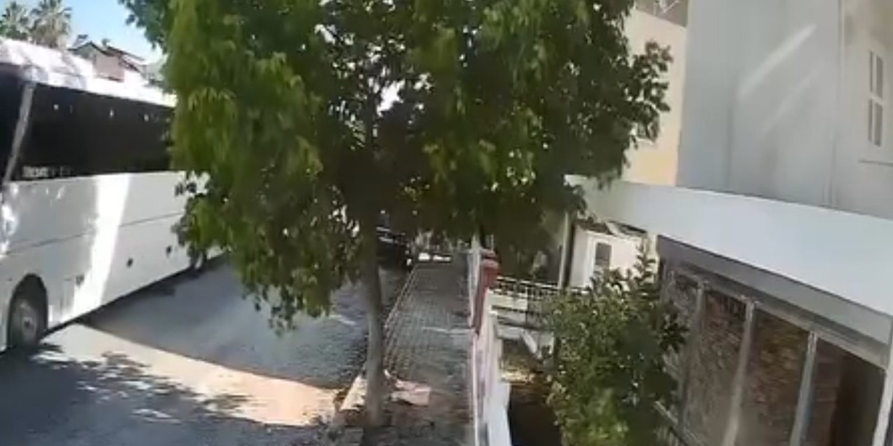 Otobüs şoförü sokak köpeğini ezdi