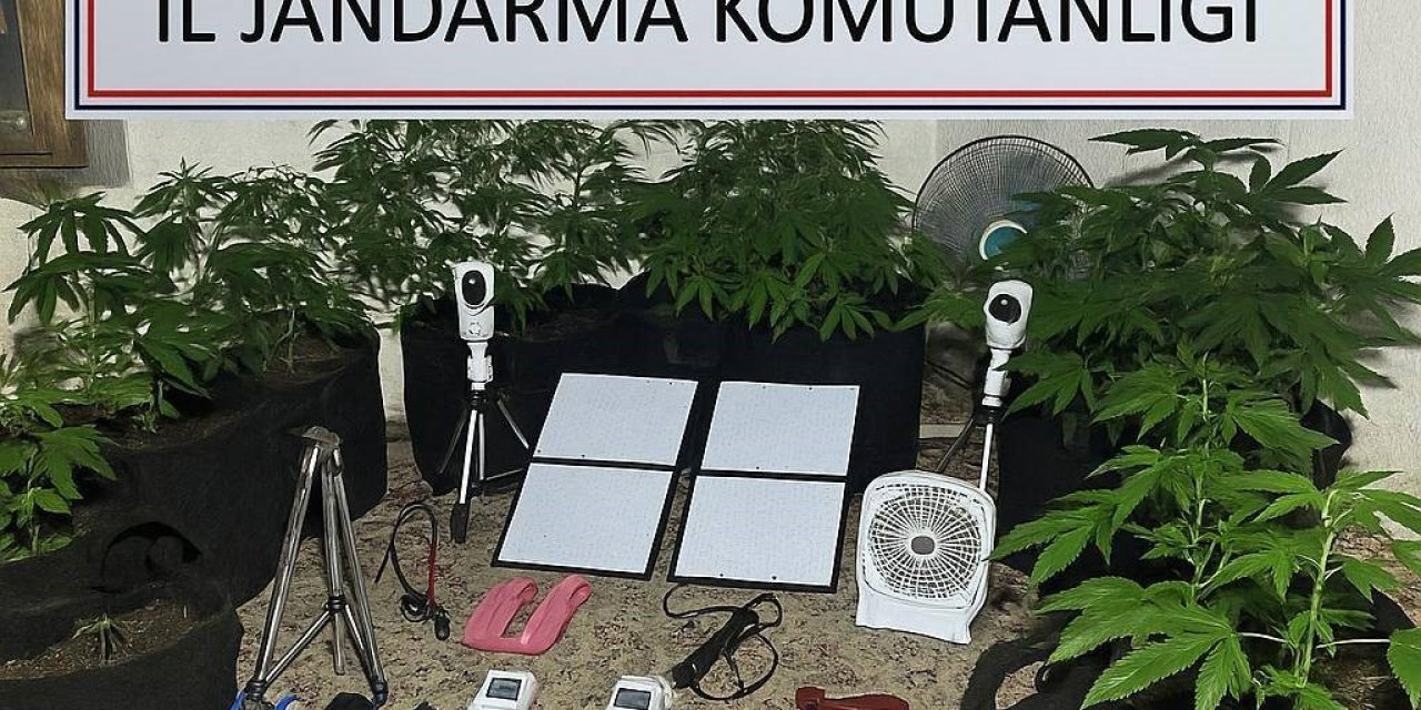 Uzaktan kontrolle metruk binada uyuşturucu yetiştirdi