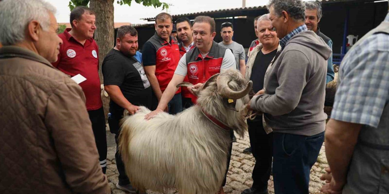 Kurban pazarlarında sağlık ve hijyen kontrolü