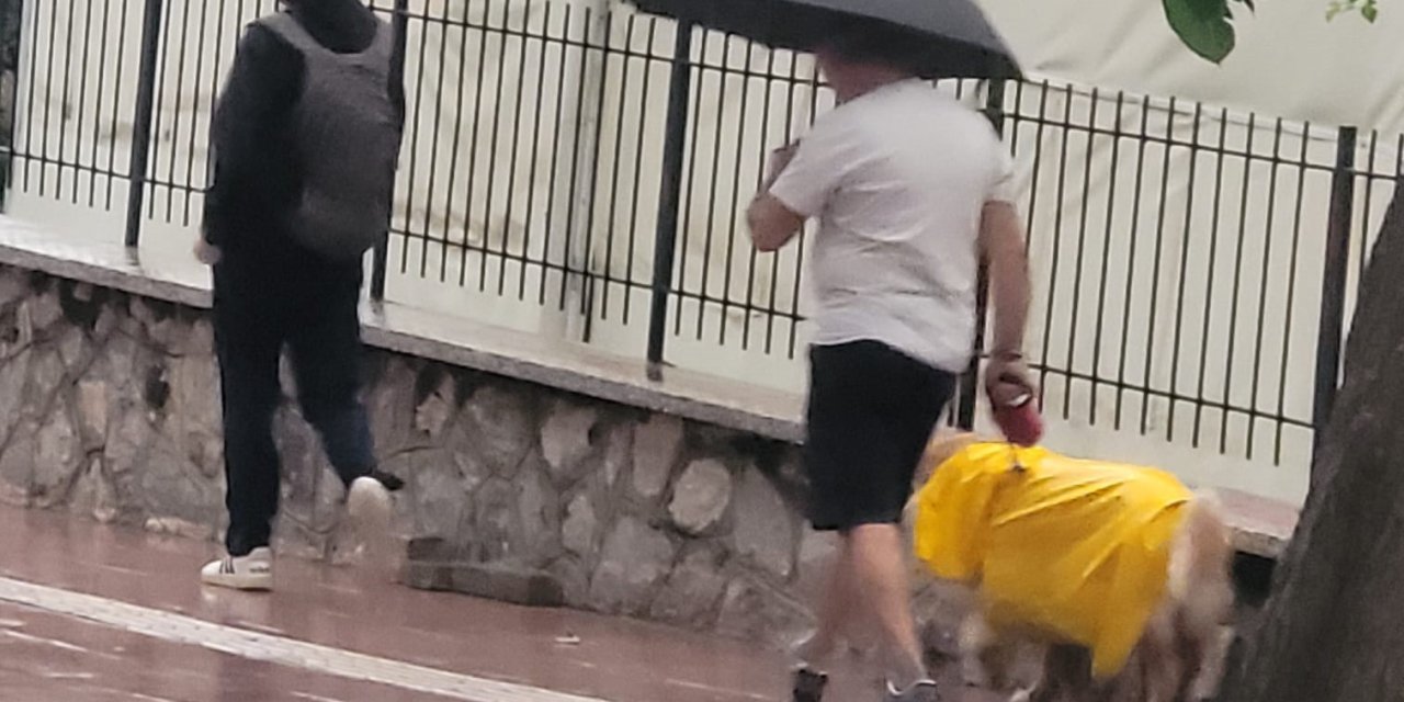 Aydın güne yağmurla uyandı