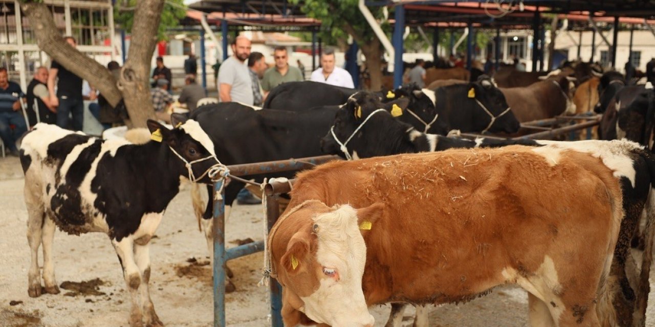 Muğla’da kurban kesim ücretleri belli oldu