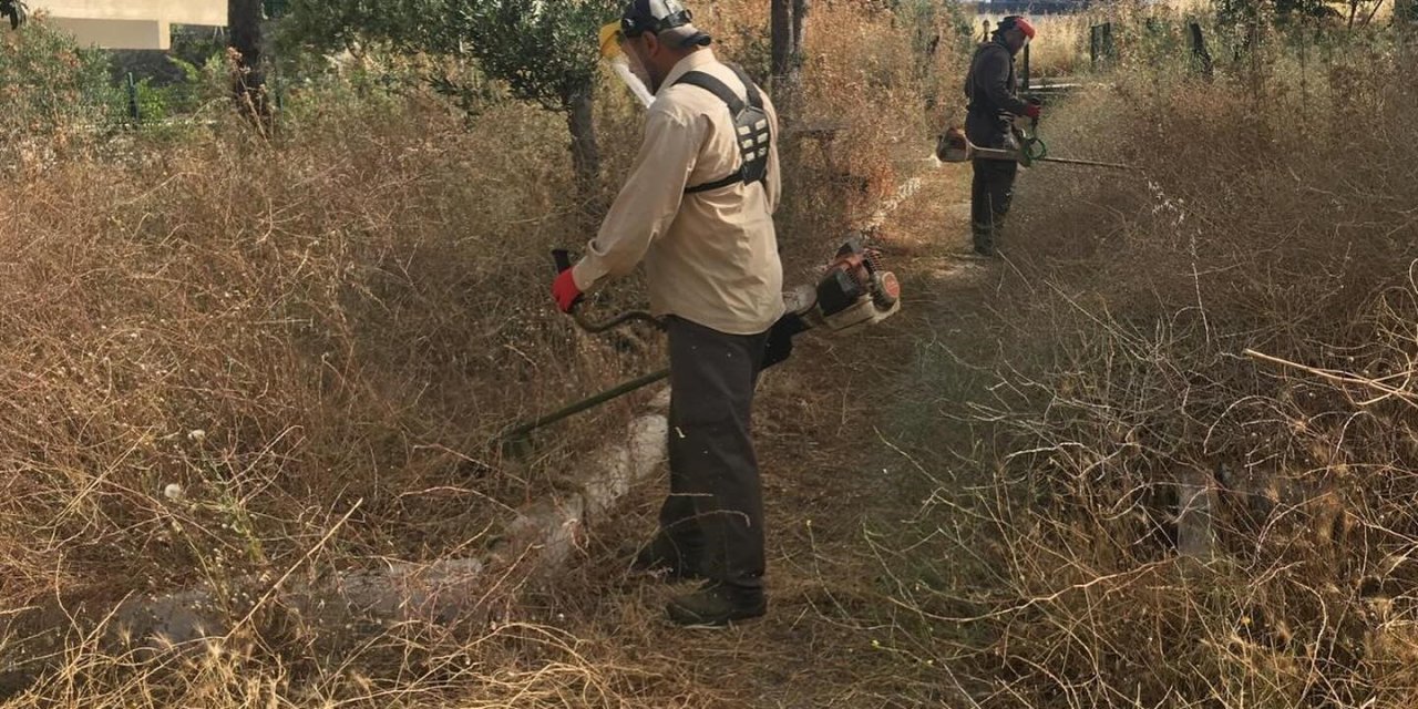 Didim Belediyesi’nden ’kuru ot’ seferberliği