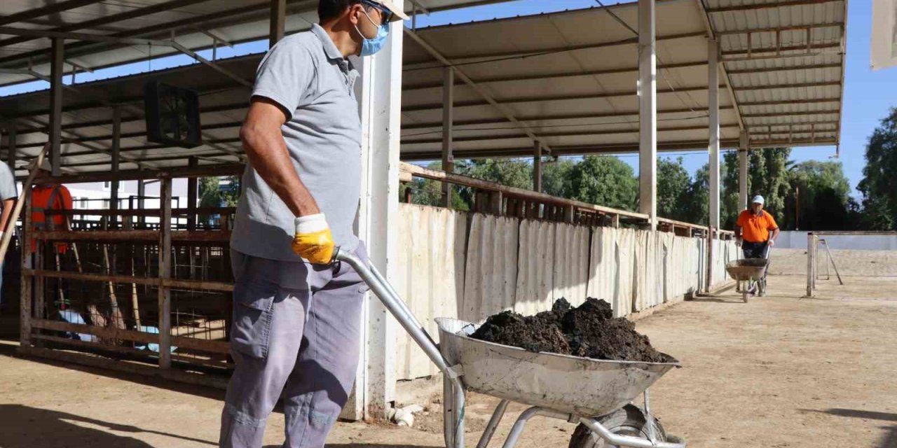 Nazilli Belediyesi’nden hayvan pazarında temizlik seferberliği