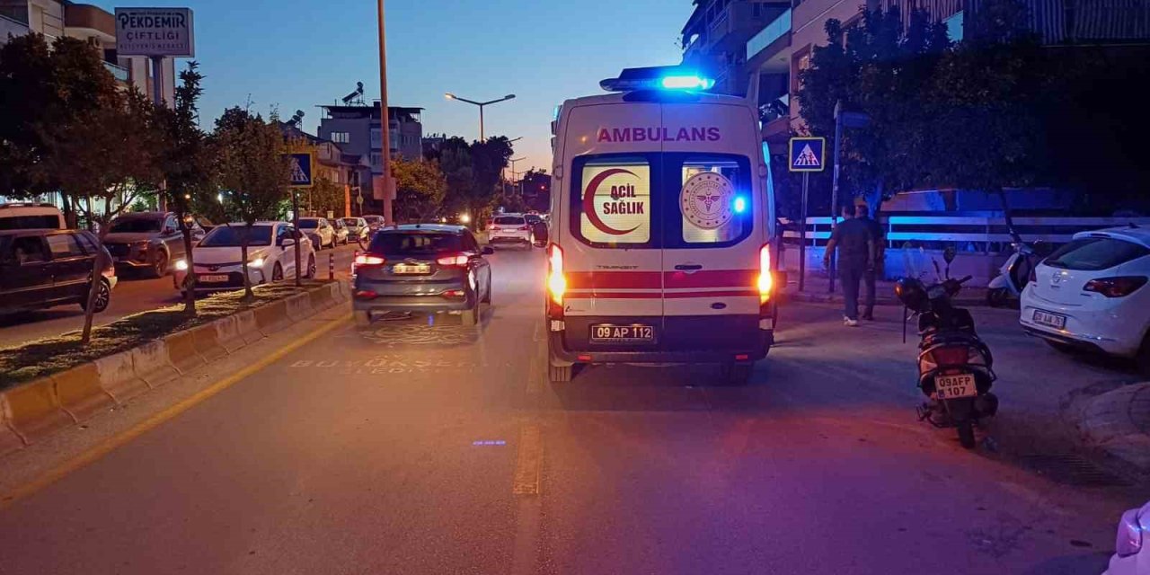 Yola fırlayan kedi kazaya neden oldu: 1 yaralı